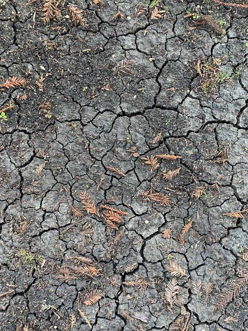 Soil Surface Temperatures Climb Far Higher Than The Air Soil Surface Temperatures Climb Far Higher Than The Air