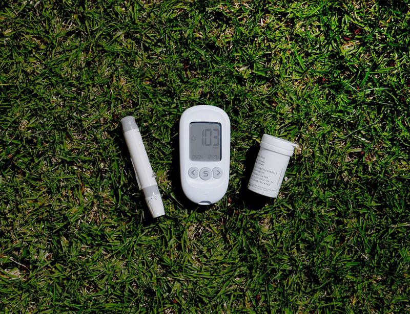Soil Temperature Readings That Signal The Right Moment Soil Temperature Readings That Signal The Right Moment