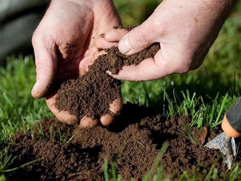 Soil Test Results Help Set The Right Fertilizer Rate
