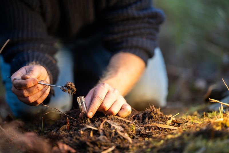 Soil Testing Should Come Before The Fertilizer Bag Opens