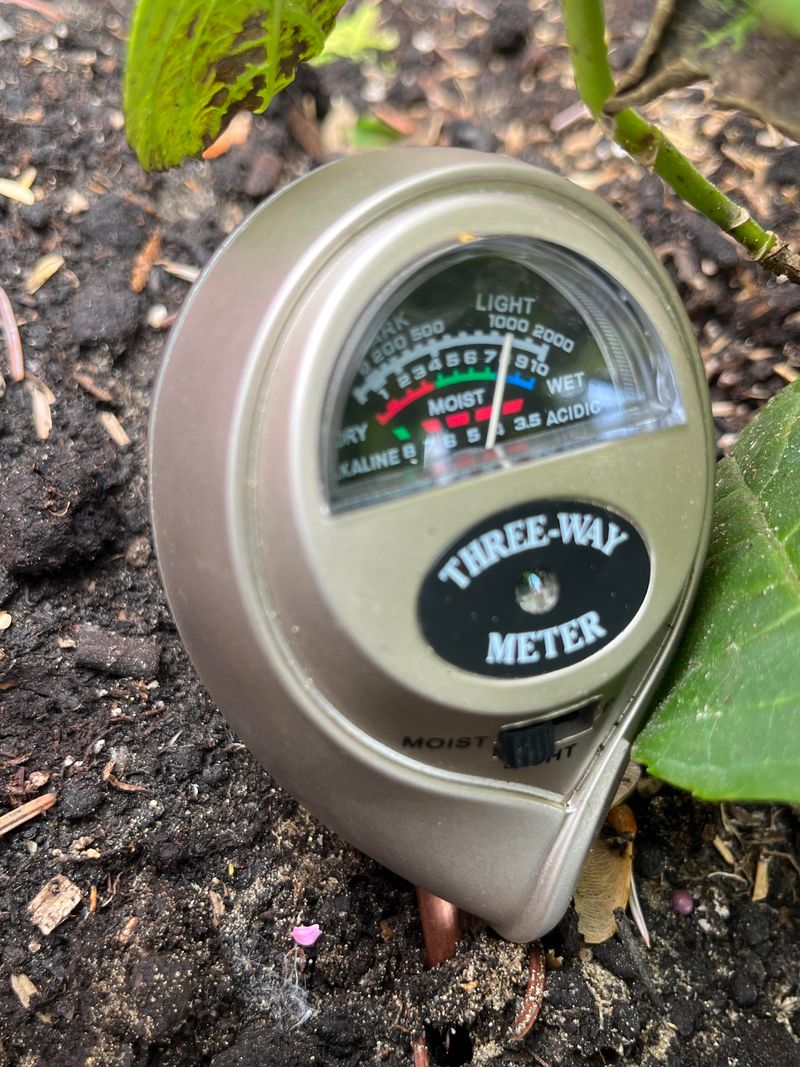 Soil That Dries Out Too Quickly Makes It Worse