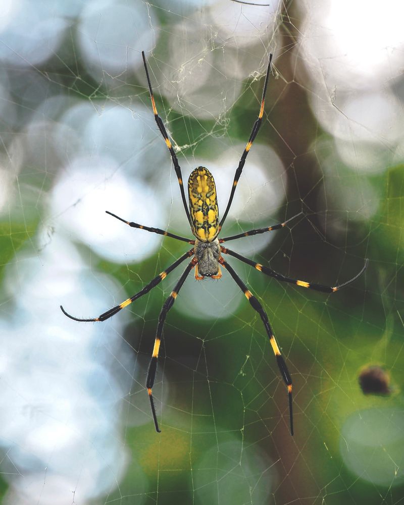 Some Web Locations Really Do Cause Problems