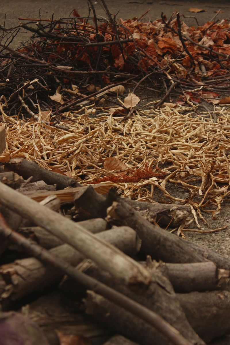 Sort Debris By Size For Proper Mound Layering Sort Debris By Size For Proper Mound Layering