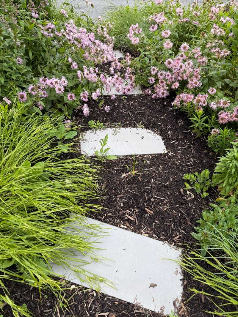Sparse Planting Creates More Work Later Sparse Planting Creates More Work Later