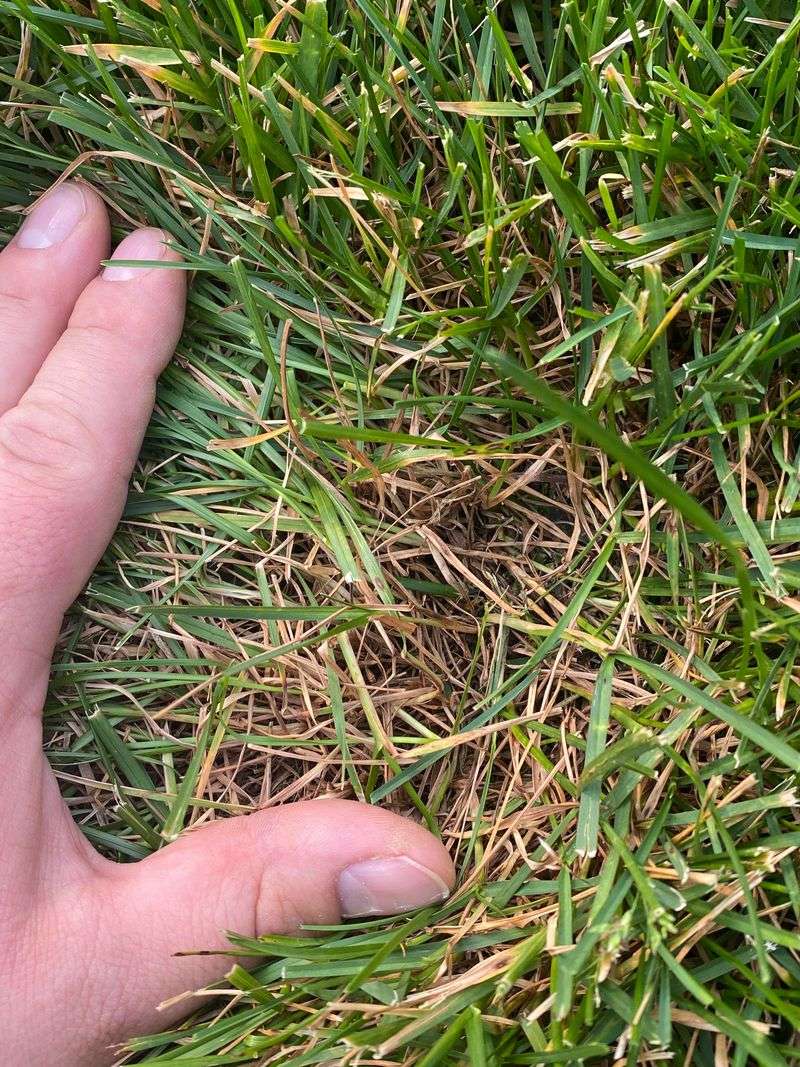 Spots That Seem To Appear Out Of Nowhere