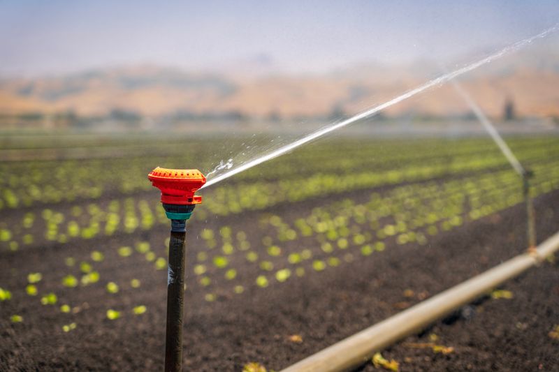 Sprinkler Type And Soil Determine The Right Watering Time Sprinkler Type And Soil Determine The Right Watering Time