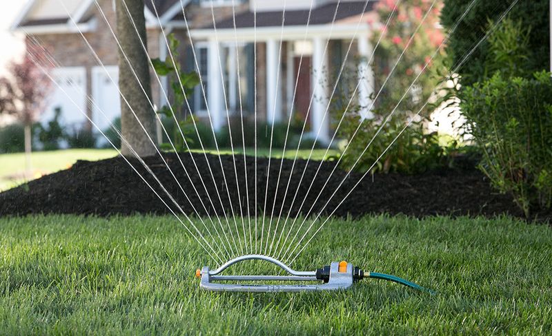 Sprinklers Can Miss The Roots Sprinklers Can Miss The Roots