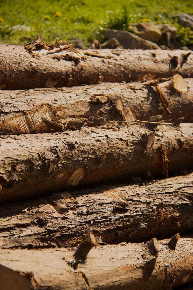 Stack Larger Logs First To Build The Core Stack Larger Logs First To Build The Core