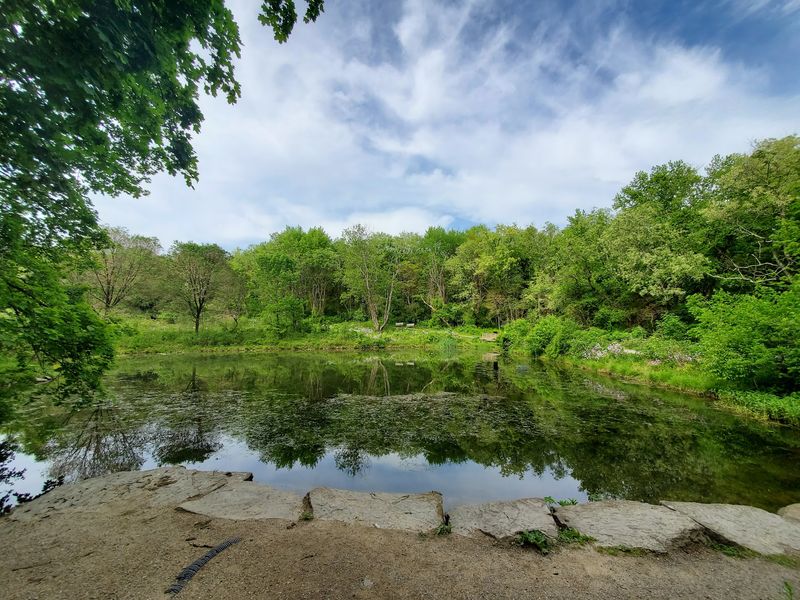 Start At Audubon Center For Native Plants Start At Audubon Center For Native Plants
