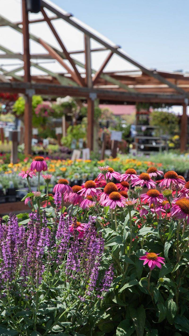 Start Next Year's Garden Now