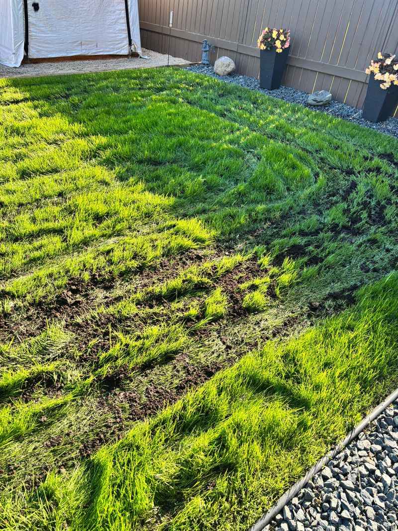 Stay Off Saturated Soil Stay Off Saturated Soil