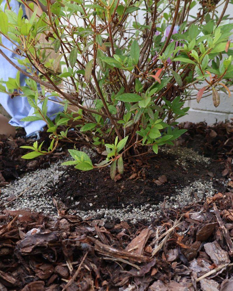 Steady Moisture Helps During Hot Weather