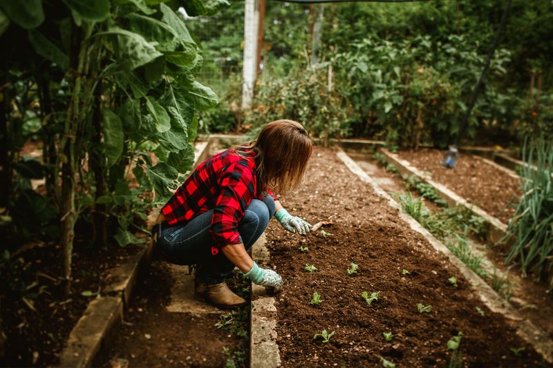 Steps To Get Your Garden Back On Track Steps To Get Your Garden Back On Track