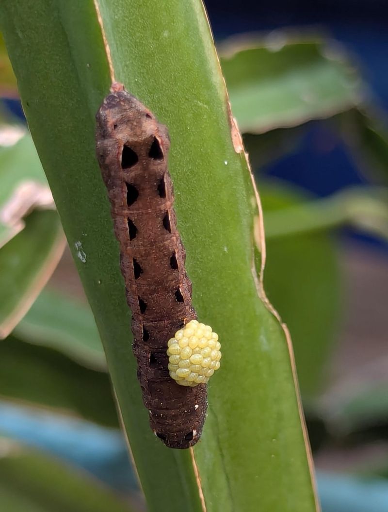 Steps To Protect Your Garden From The Next Generation