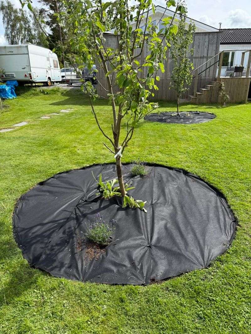 Steps To Protect Your Trees Before The Next Growing Season