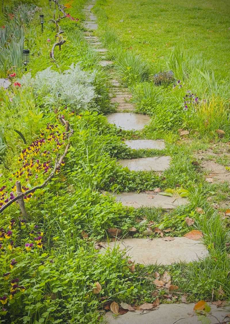 Steps To Start Rewilding Your Own Lawn