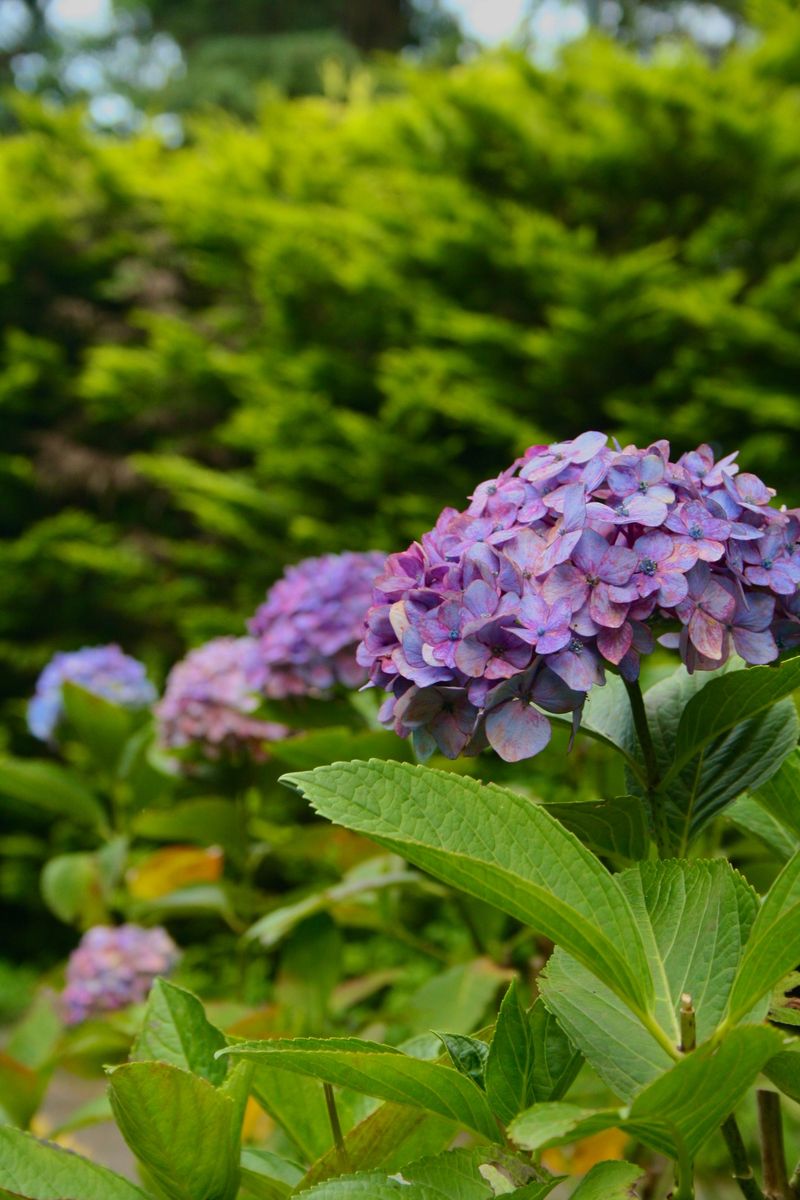 Steps To Take Instead This August