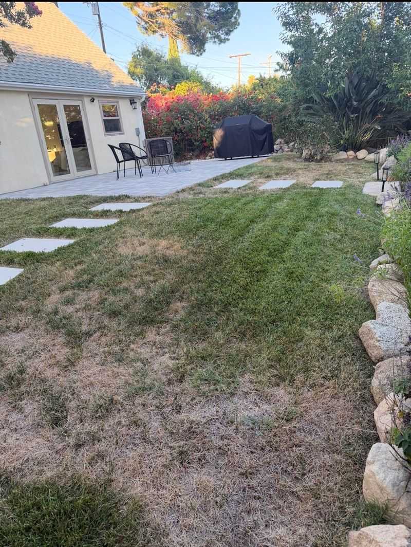 Stop Chasing Dark Green Grass Stop Chasing Dark Green Grass