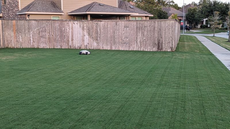 Stop Cutting Bermuda Grass Like A Putting Green Stop Cutting Bermuda Grass Like A Putting Green