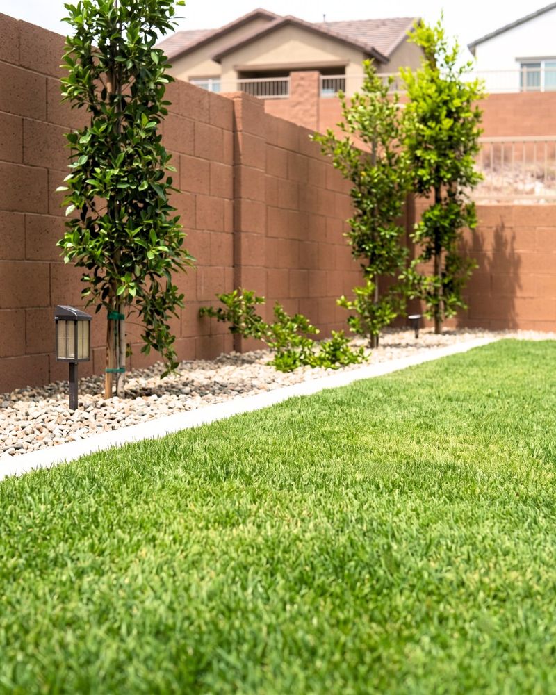 Stop Feeding Bermudagrass Before Overseeding