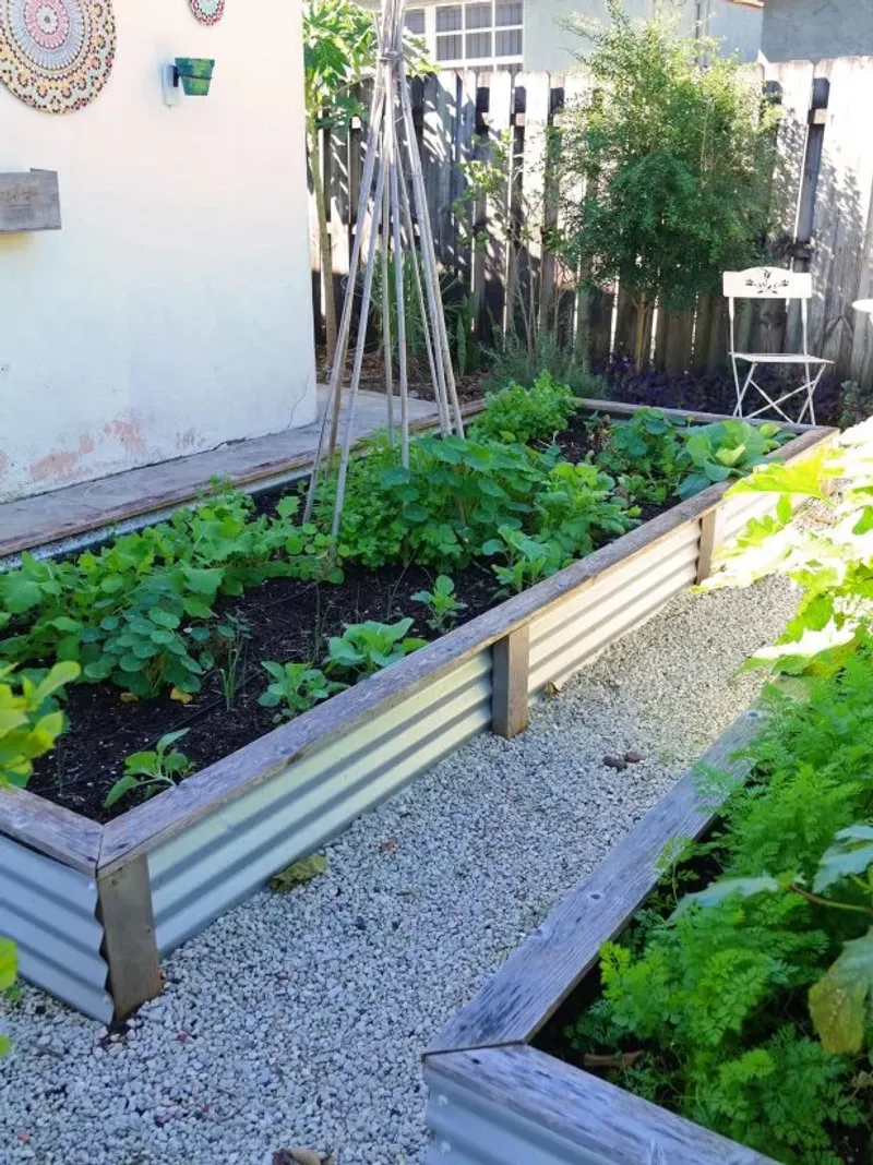 Stop Heavy Fertilizing On Most Garden Plants