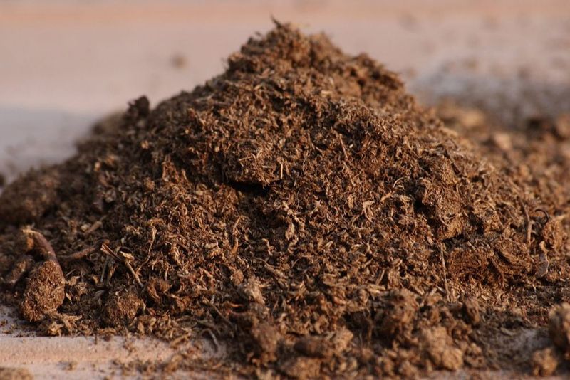 Stop Mixing Peat Into Heavy Clay