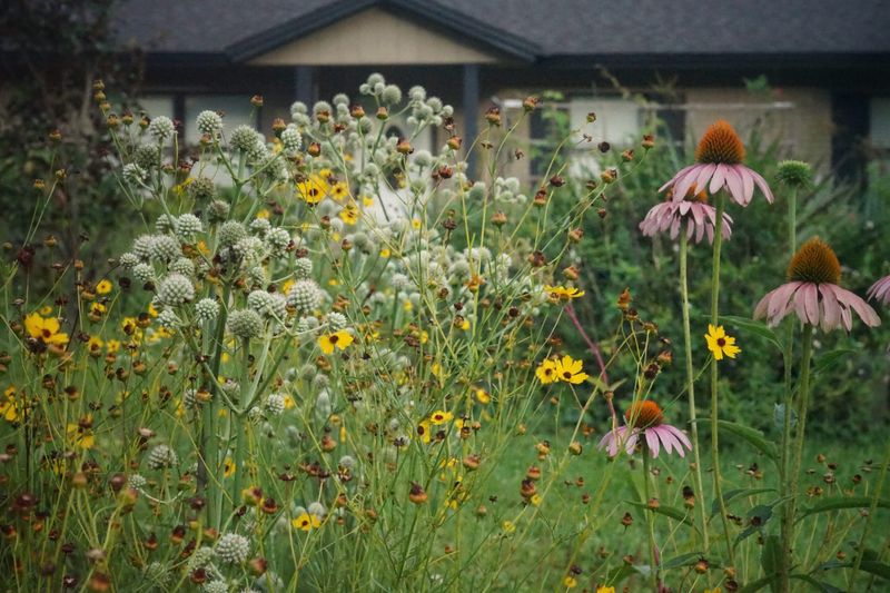 Stop Mowing One Sunny Edge So Short