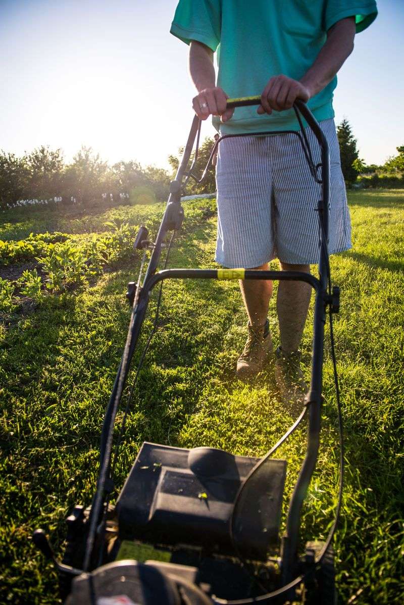 Stop Mowing Until You Identify The Cause Stop Mowing Until You Identify The Cause