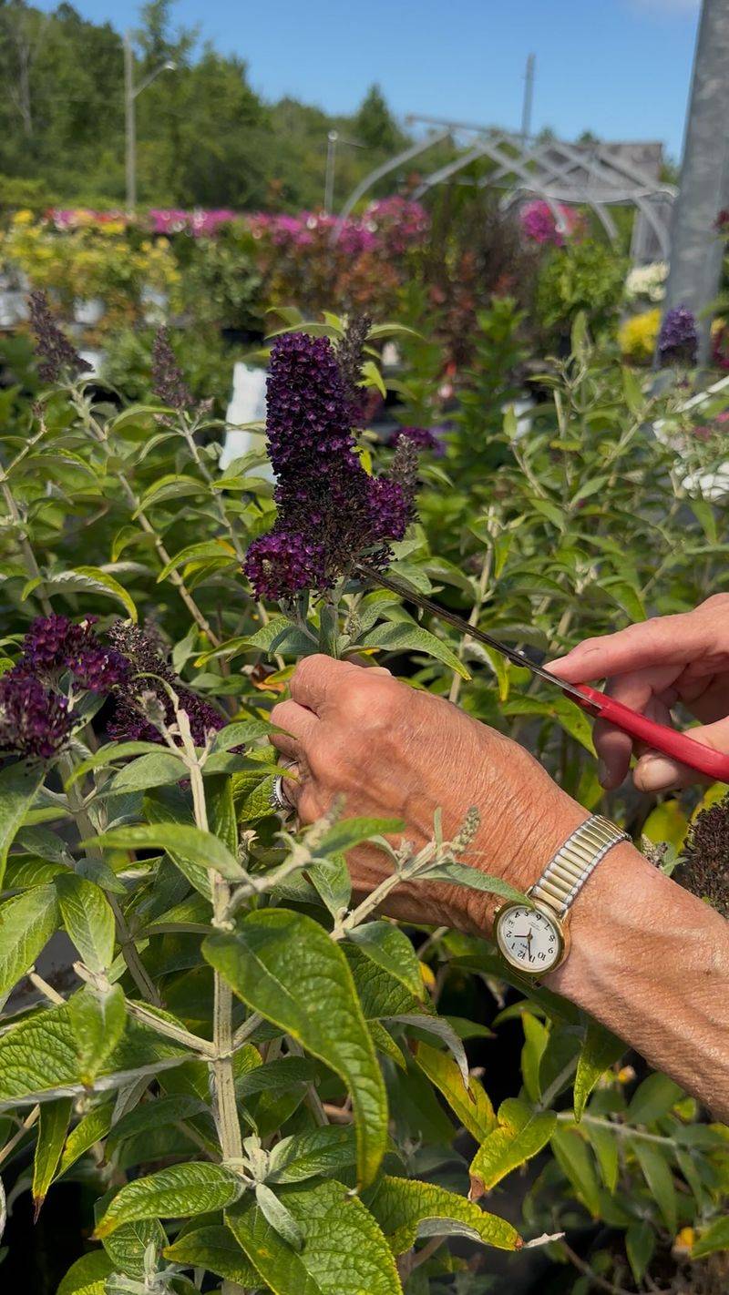 Stop Seeds From Spreading