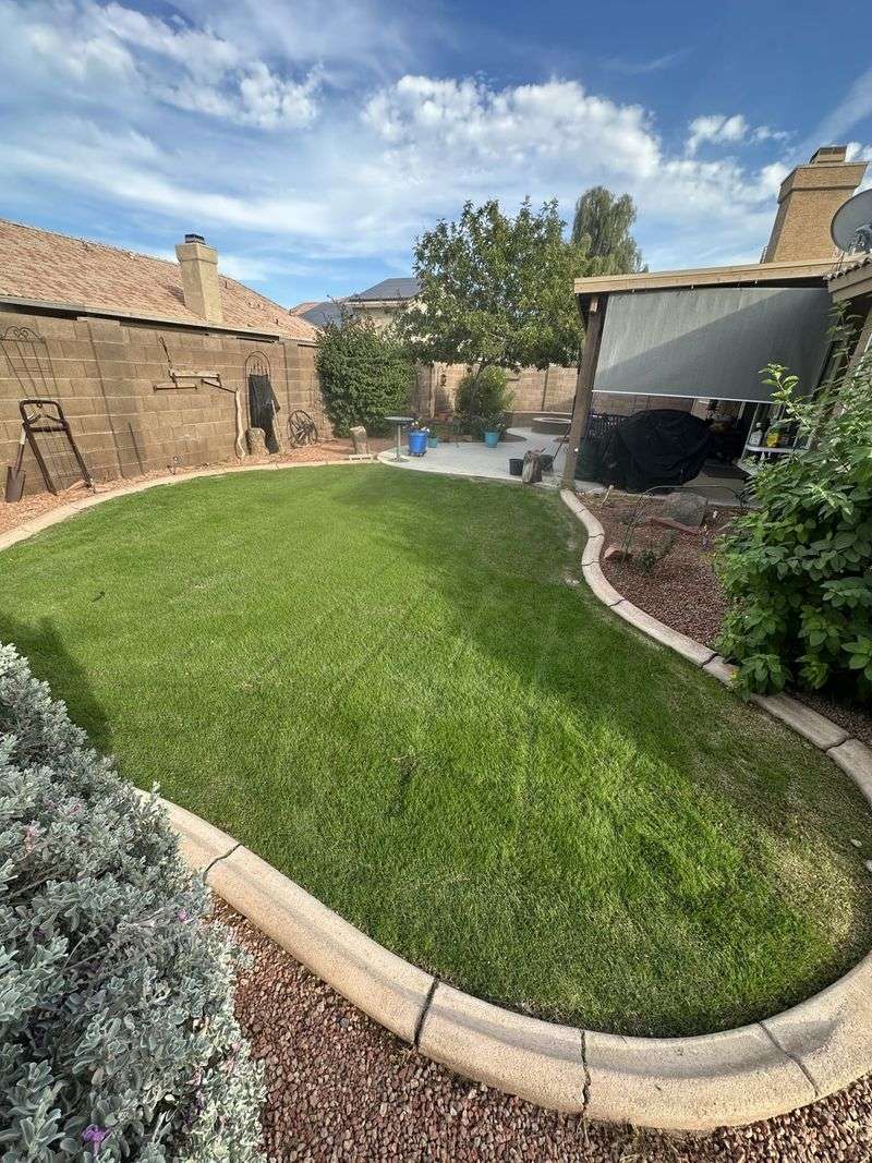 Stop Watering One To Three Days Before Seeding