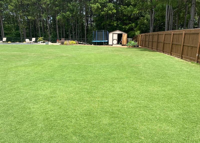 Summer Color Can Fade Even While Grass Is Growing