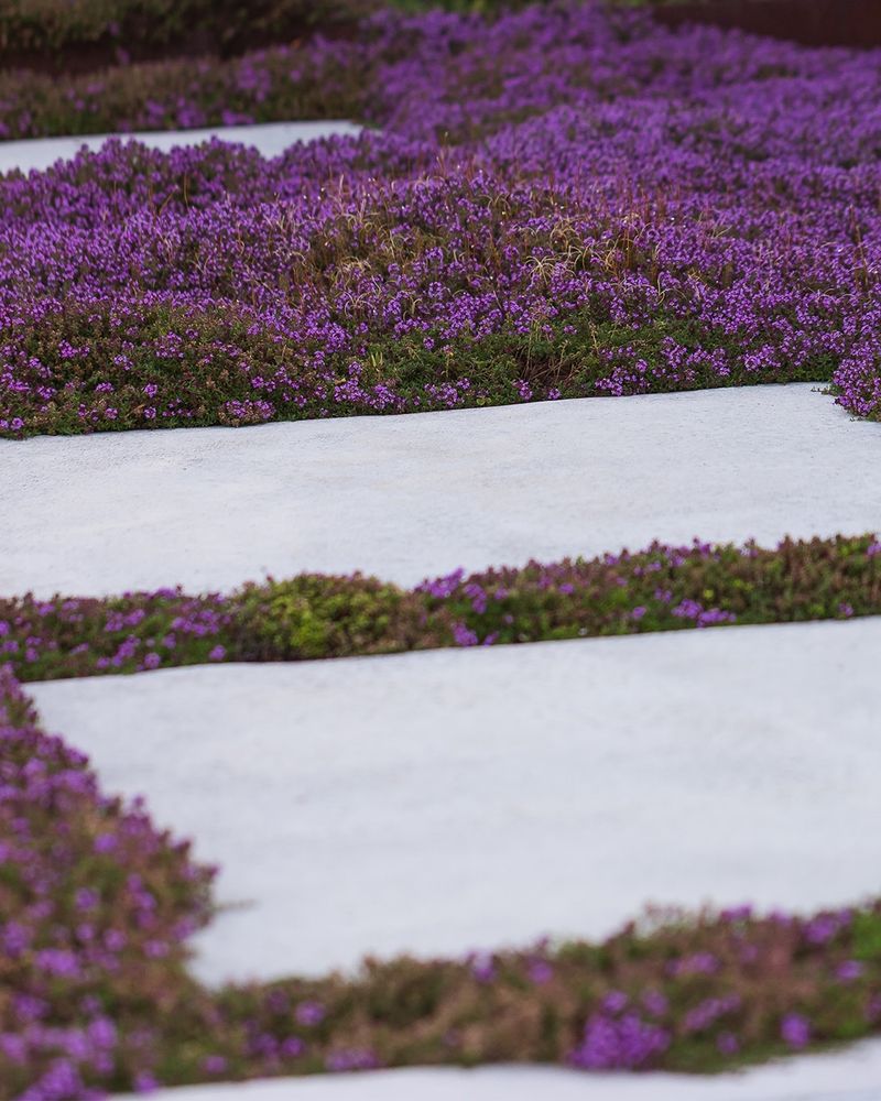 Summer Flowers Add Color Around Plain Stone Summer Flowers Add Color Around Plain Stone