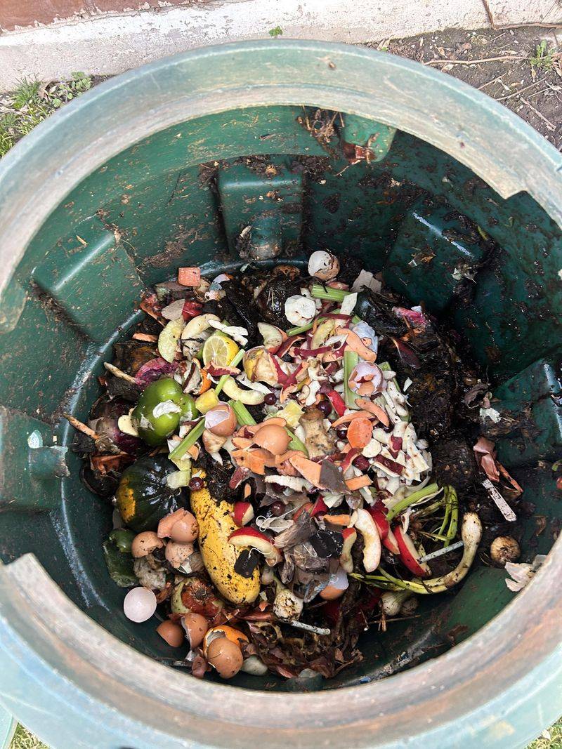 Summer Heat Accelerates Microbial Breakdown Rates