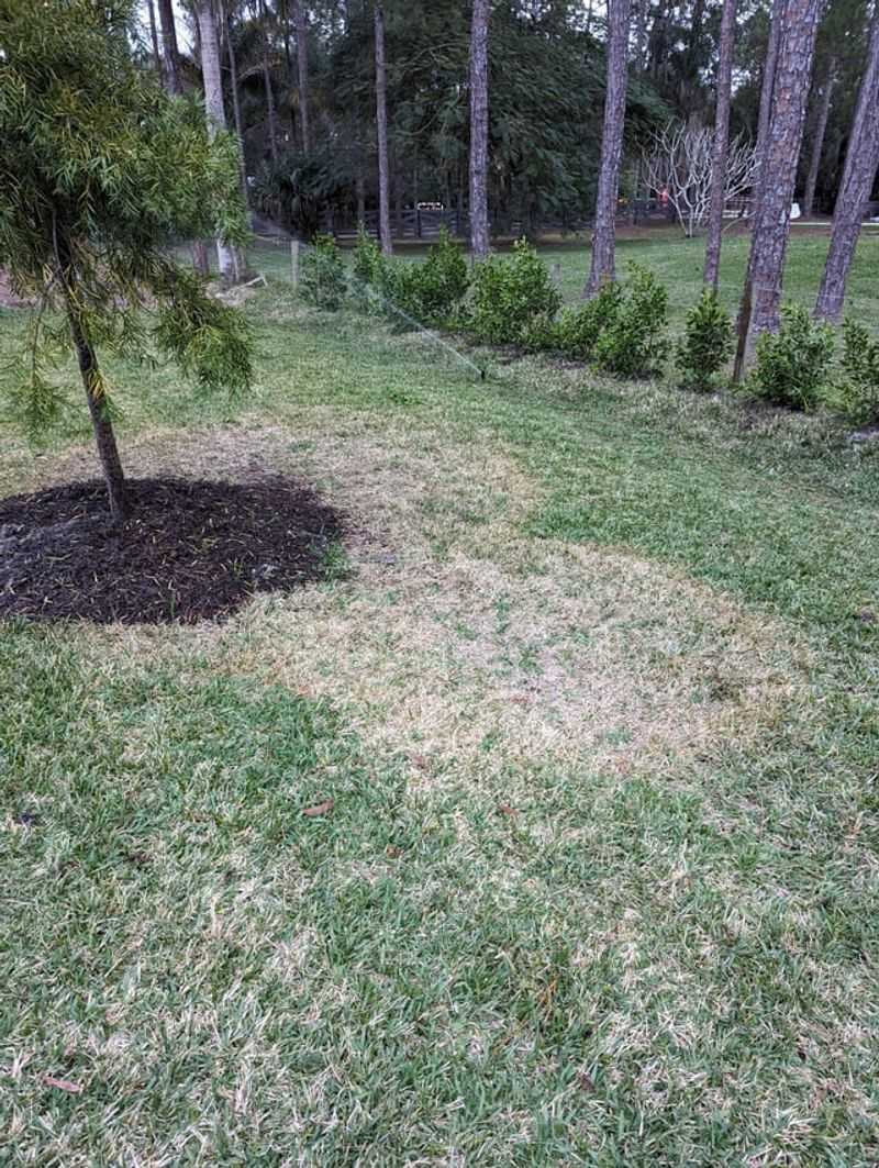 Summer Rain Can Carry Nutrients Away Summer Rain Can Carry Nutrients Away