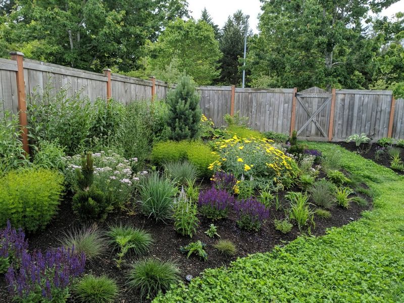 Summer Rain Can Make Tight Planting More Problematic Summer Rain Can Make Tight Planting More Problematic