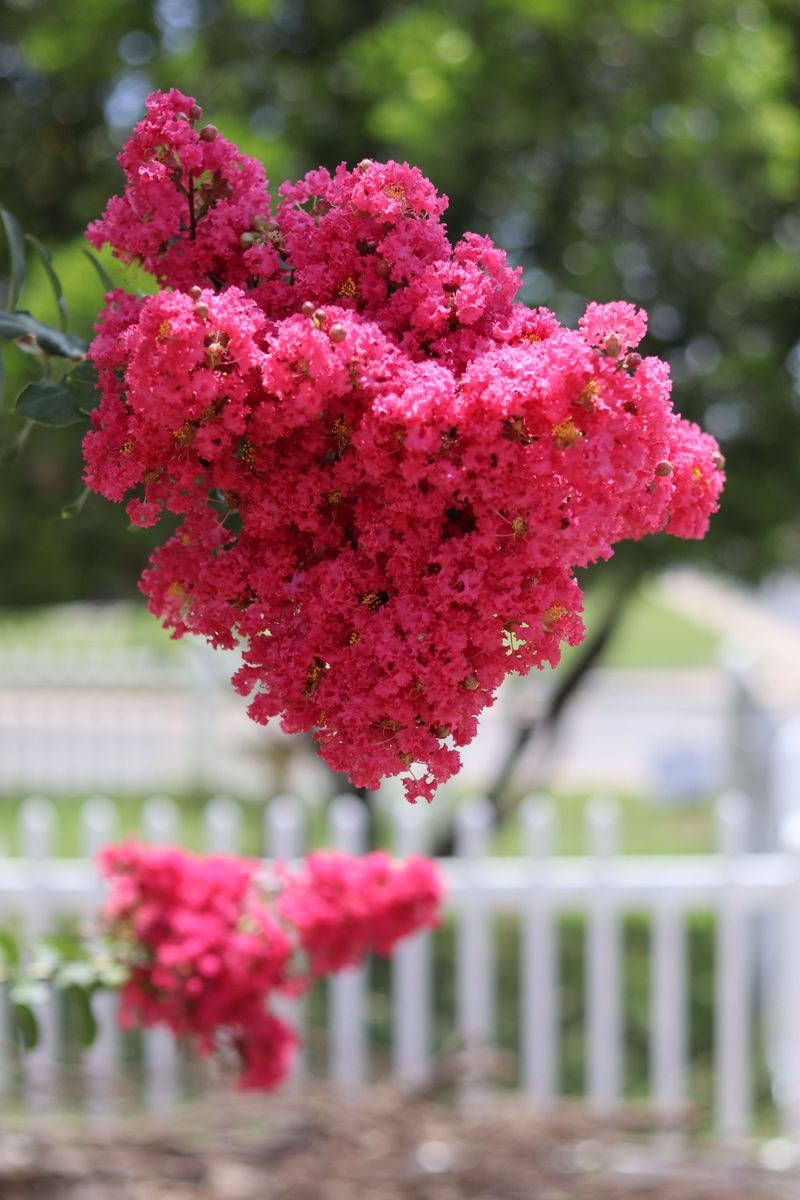 Sunlight Exposure Encourages Base Growth