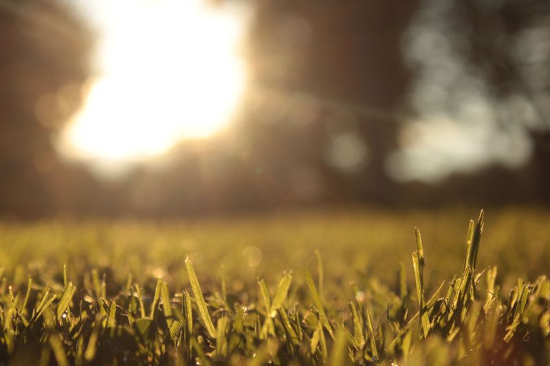 Sunlight Exposure Is Warming That Spot Often Sunlight Exposure Is Warming That Spot Often