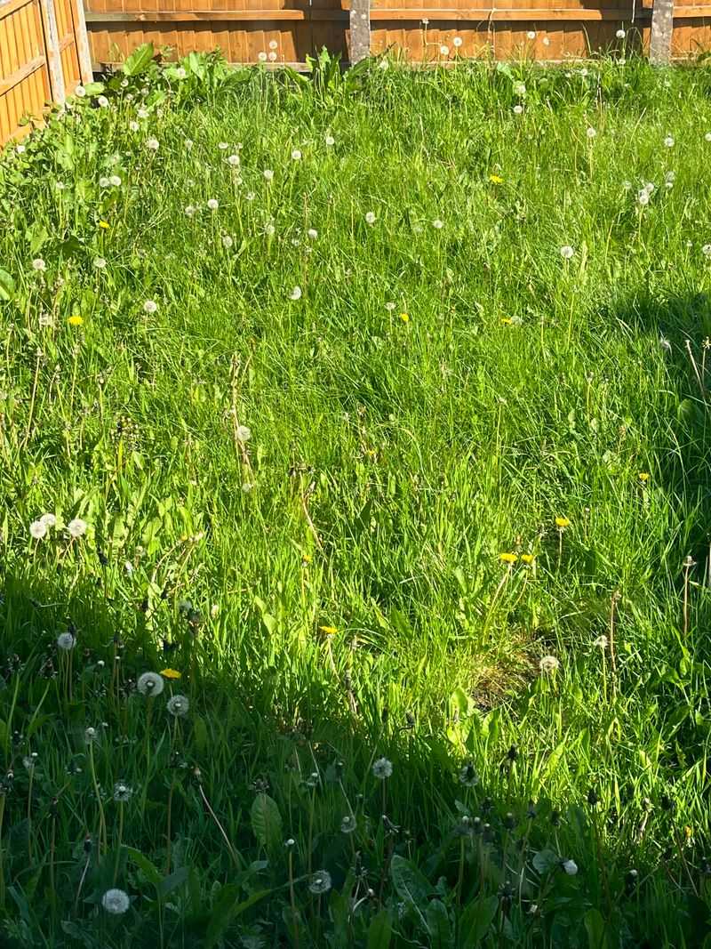 Sunny Dry Days Improve Application Results Sunny Dry Days Improve Application Results