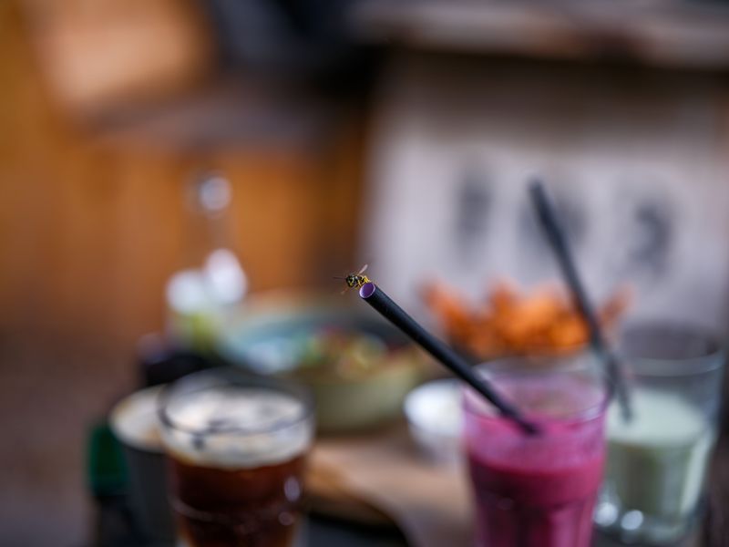 Sweet Drinks Left Near Lights Lure Wasps