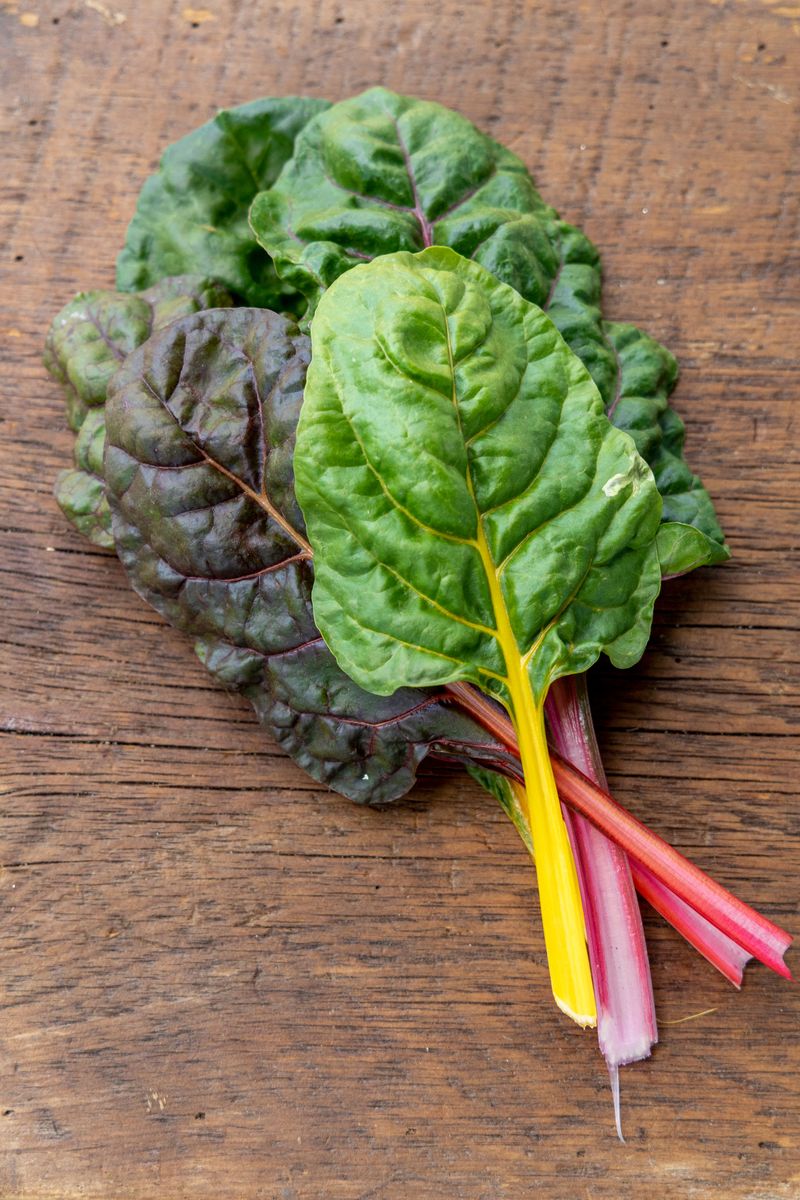 Swiss Chard Swiss Chard
