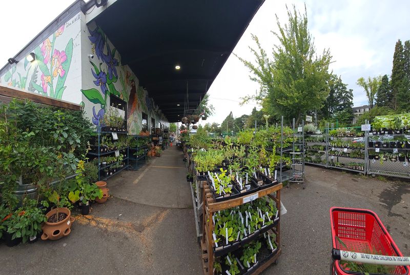 SymbiOp Garden Shop — Portland, Oregon SymbiOp Garden Shop — Portland, Oregon