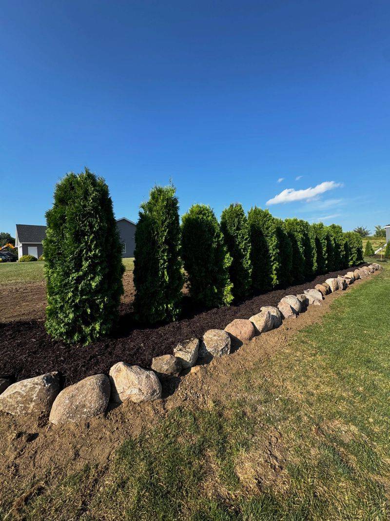 Taller Forms Can Block Views Above The Fence