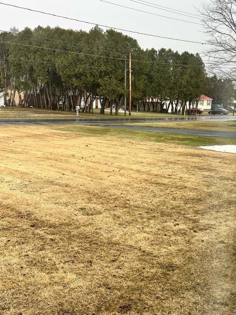 Telling Dormancy Apart From Real Damage