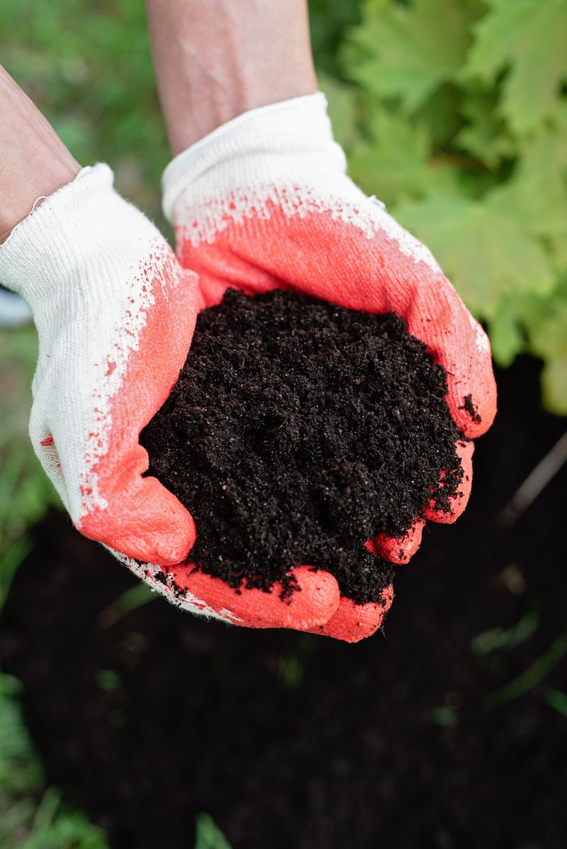 Test Soil And Add Compost