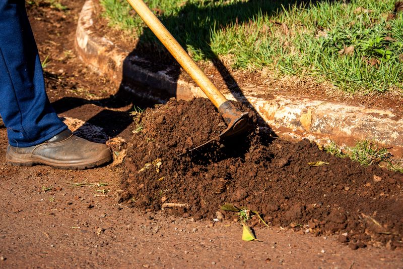 Test Soil For Compaction And Drainage