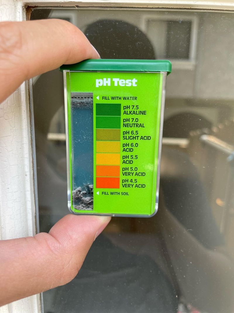 Test Soil pH With A Home Kit Test Soil pH With A Home Kit