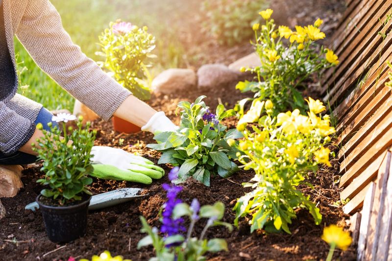 Test the Bed Before You Buy Plants Test the Bed Before You Buy Plants