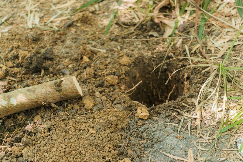 Testing Your Soil To Confirm Drainage Issues Testing Your Soil To Confirm Drainage Issues