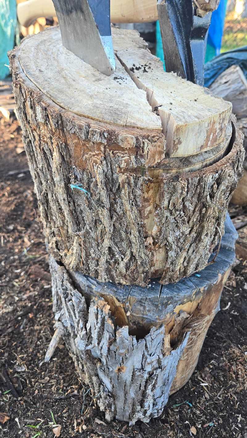 That Wood Pile Is Too Close For Comfort That Wood Pile Is Too Close For Comfort