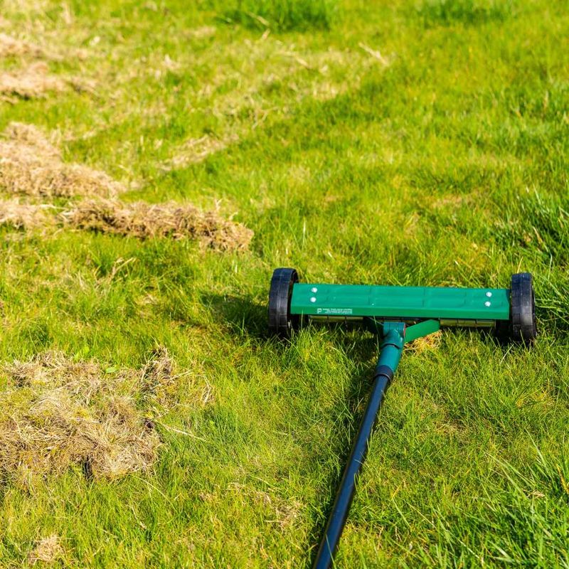 Thatch Removal Helps Grass Breathe Thatch Removal Helps Grass Breathe